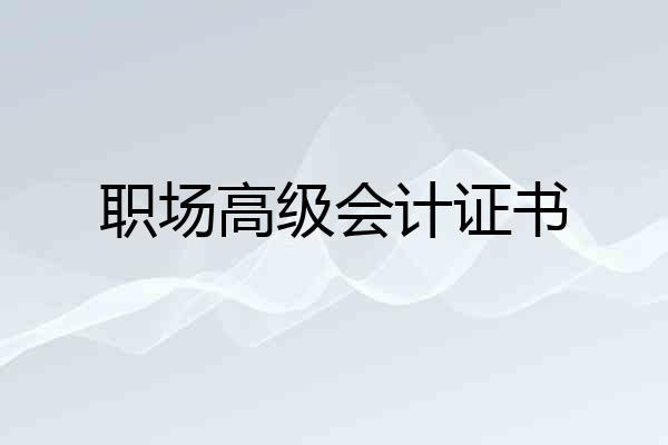 职场高级会计证书