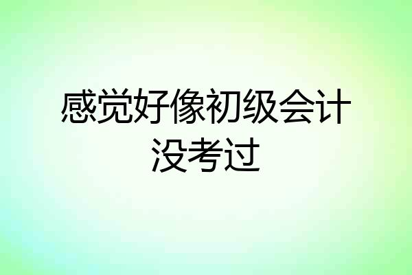 感觉好像初级会计没考过