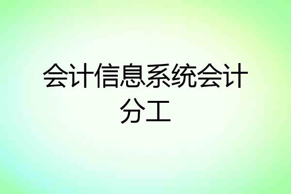 会计信息系统会计分工