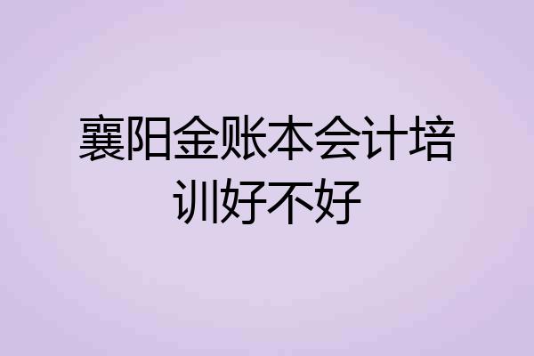 襄阳金账本会计培训好不好
