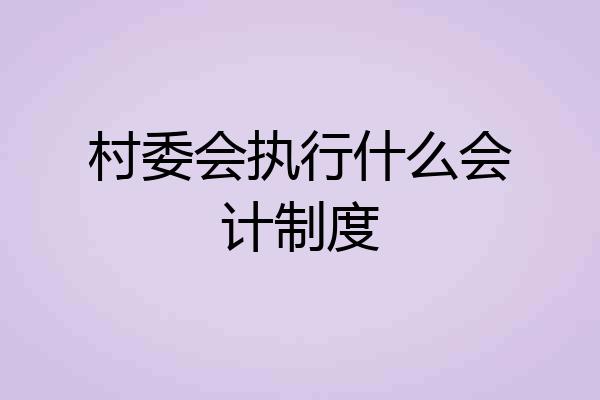 村委会执行什么会计制度