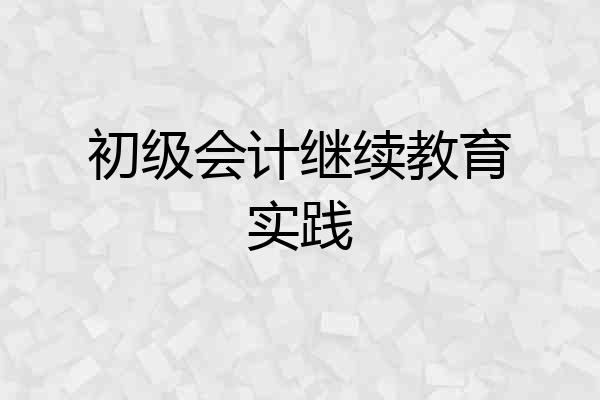初级会计继续教育实践