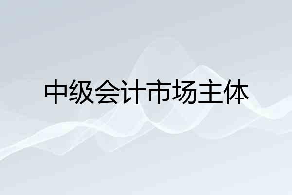中级会计市场主体
