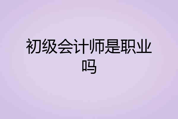初级会计师是职业吗