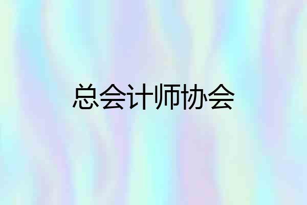 总会计师协会