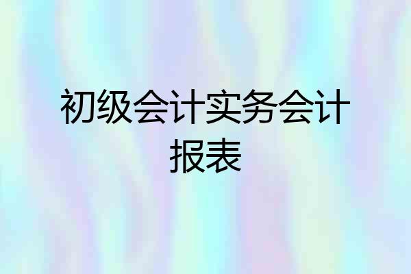 初级会计实务会计报表