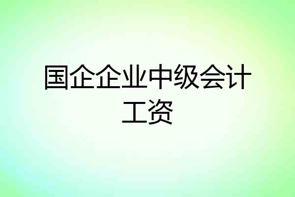 国企企业中级会计工资