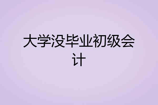 大学没毕业初级会计