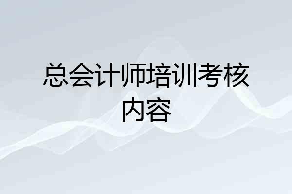 总会计师培训考核内容