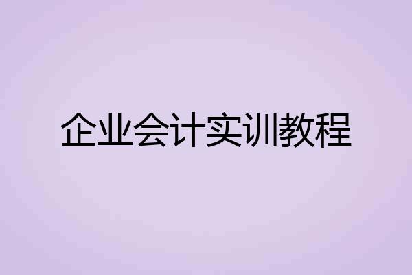 企业会计实训教程