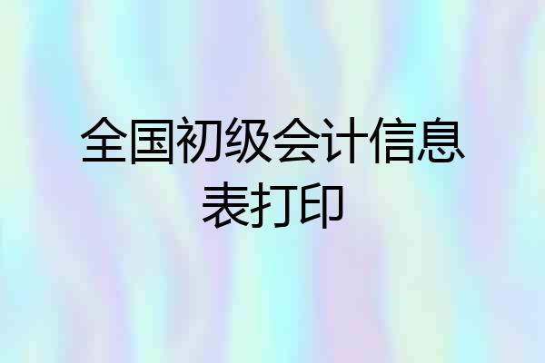 全国初级会计信息表打印