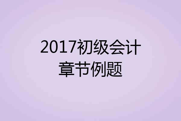 2017初级会计章节例题
