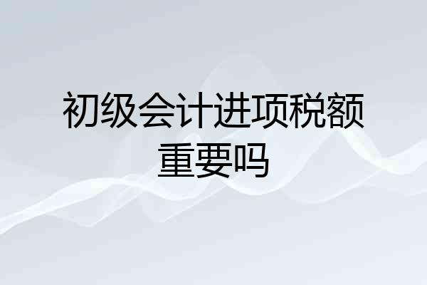 初级会计进项税额重要吗