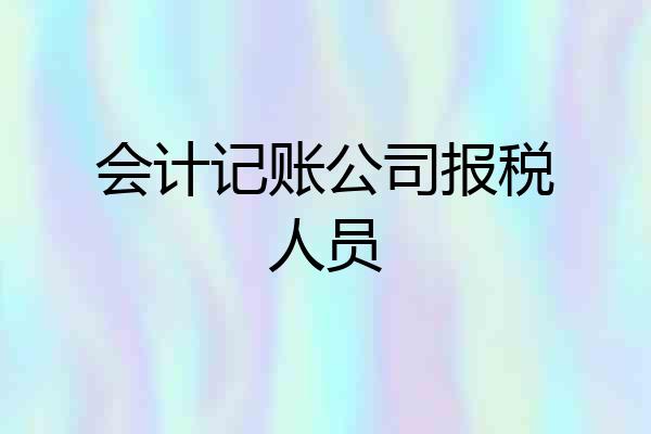 会计记账公司报税人员