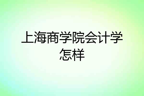 上海商学院会计学怎样