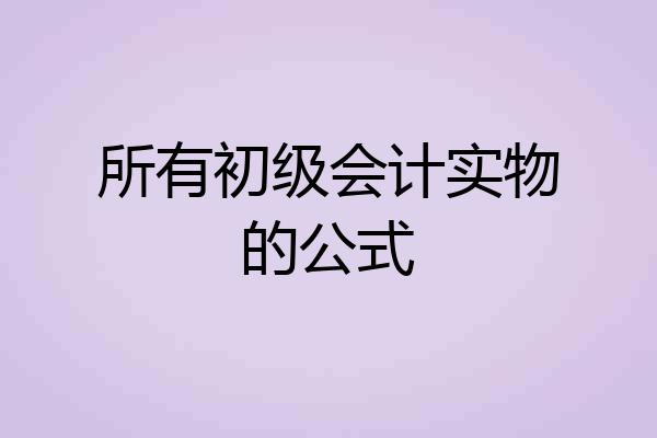 所有初级会计实物的公式