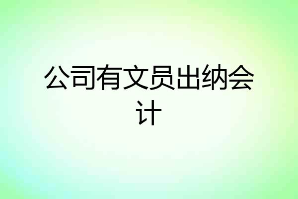 公司有文员出纳会计
