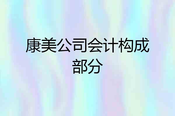康美公司会计构成部分