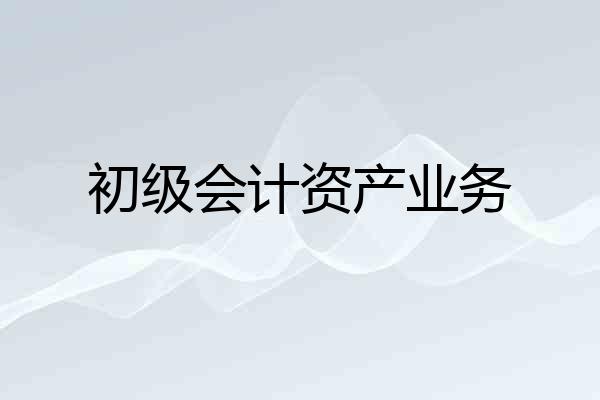初级会计资产业务