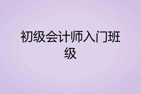 初级会计师入门班级