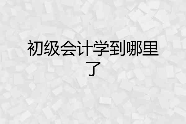 初级会计学到哪里了