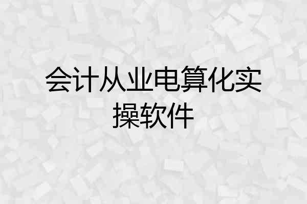 会计从业电算化实操软件