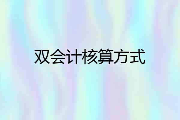 双会计核算方式