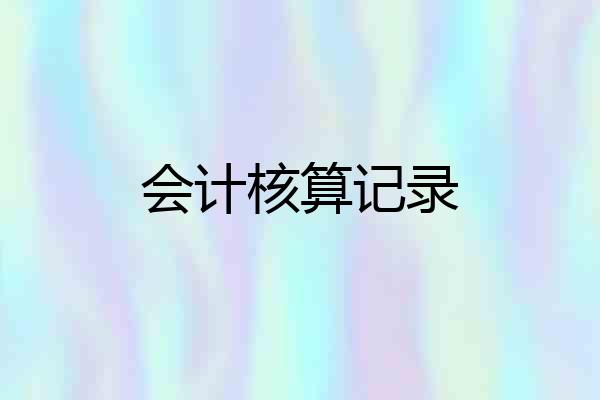 会计核算记录