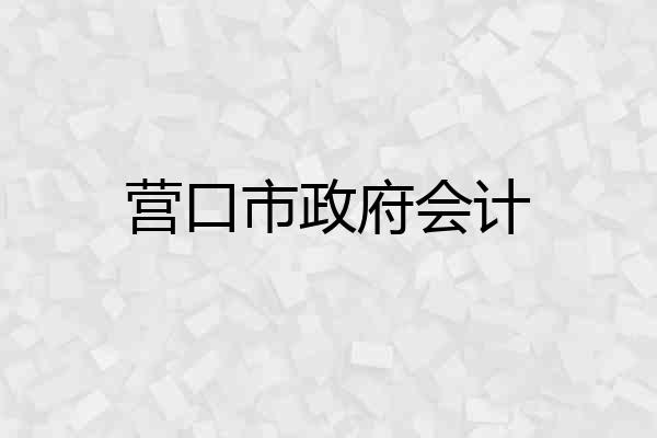 营口市政府会计