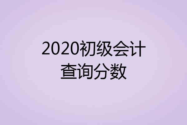 2020初级会计查询分数