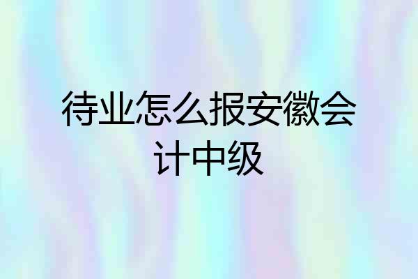 待业怎么报安徽会计中级