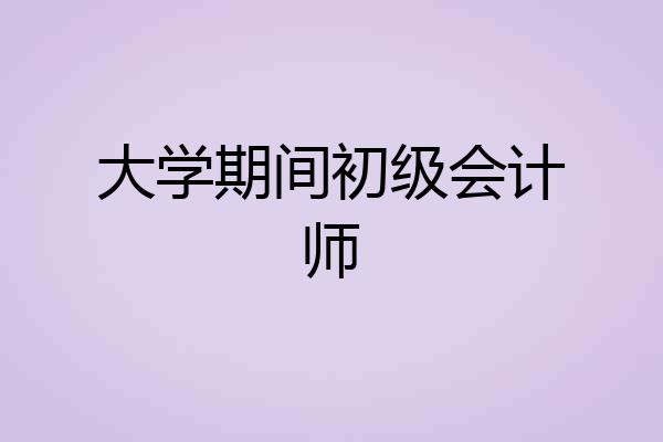 大学期间初级会计师