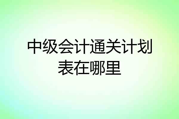 中级会计通关计划表在哪里