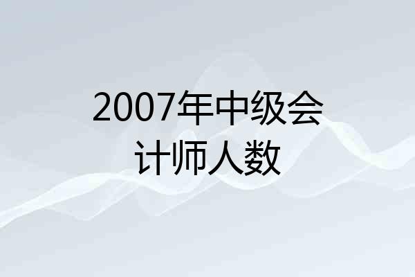 2007年中级会计师人数