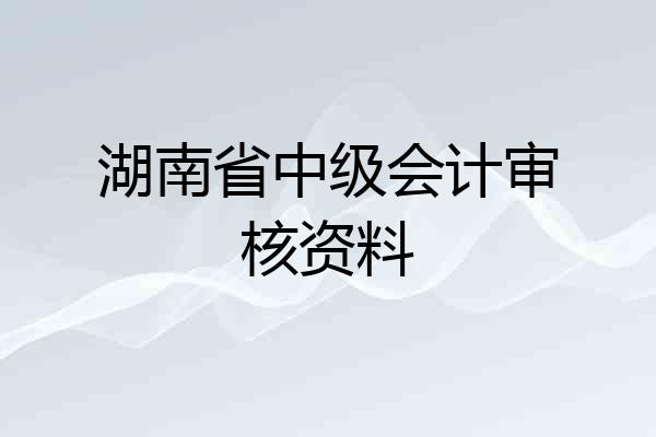 湖南省中级会计审核资料