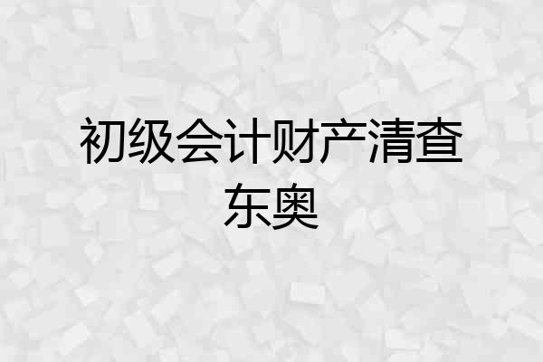 初级会计财产清查东奥