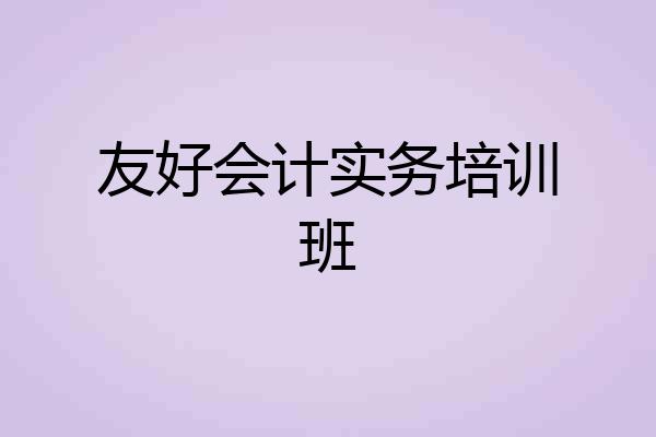 友好会计实务培训班