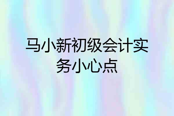 马小新初级会计实务小心点