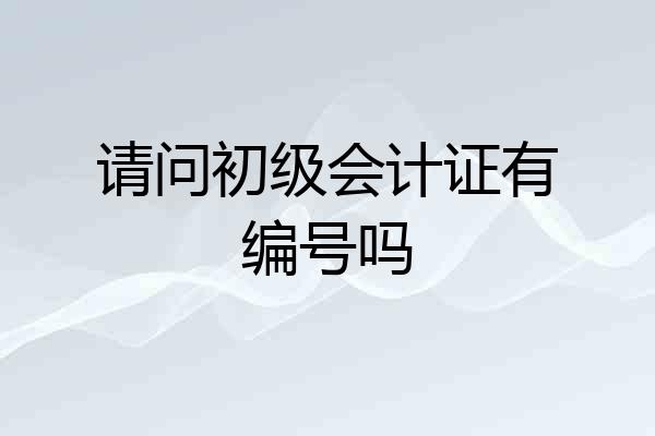 请问初级会计证有编号吗