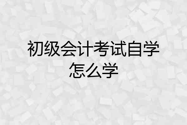 初级会计考试自学怎么学