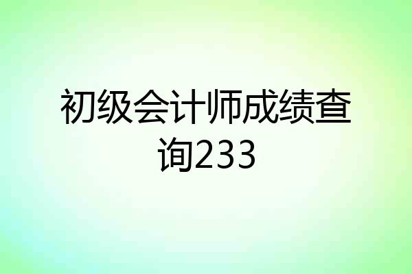 初级会计师成绩查询233
