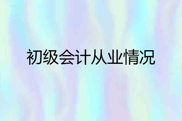 初级会计从业情况
