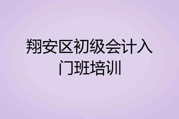 翔安区初级会计入门班培训