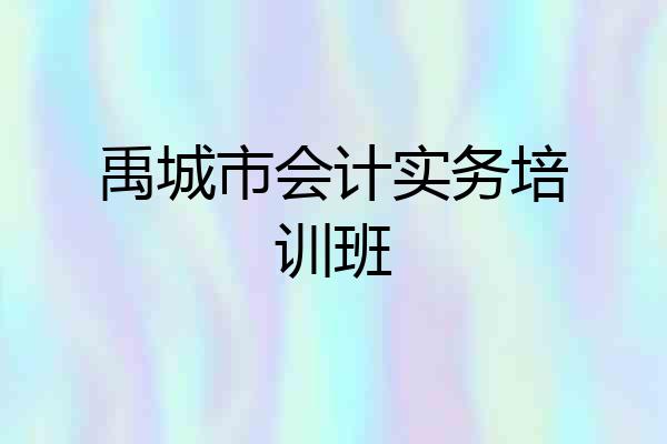 禹城市会计实务培训班