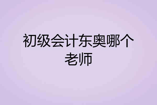 初级会计东奥哪个老师