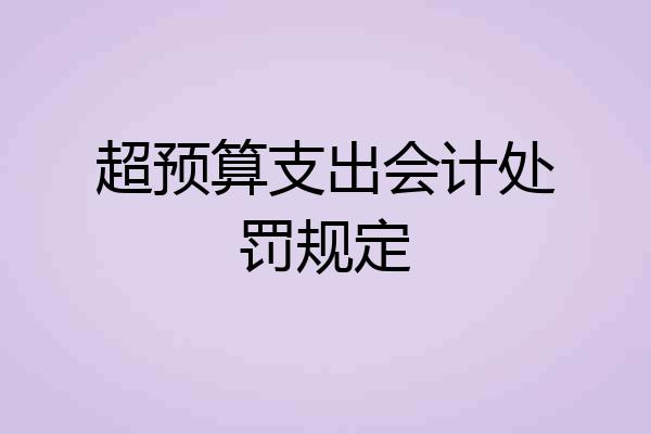 超预算支出会计处罚规定
