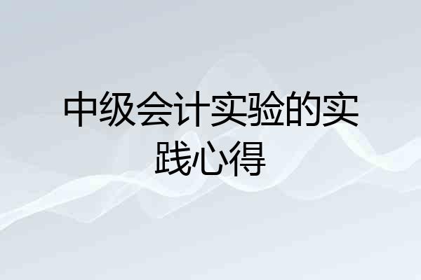 中级会计实验的实践心得