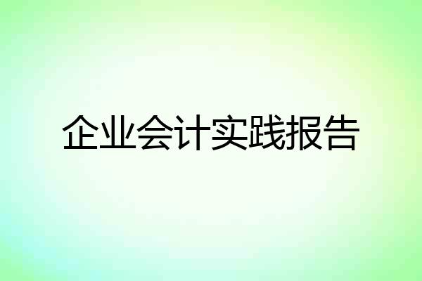 企业会计实践报告