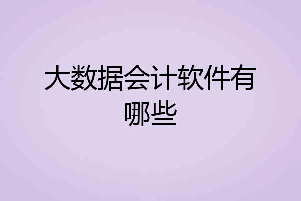 大数据会计软件有哪些