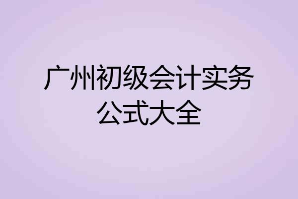 广州初级会计实务公式大全